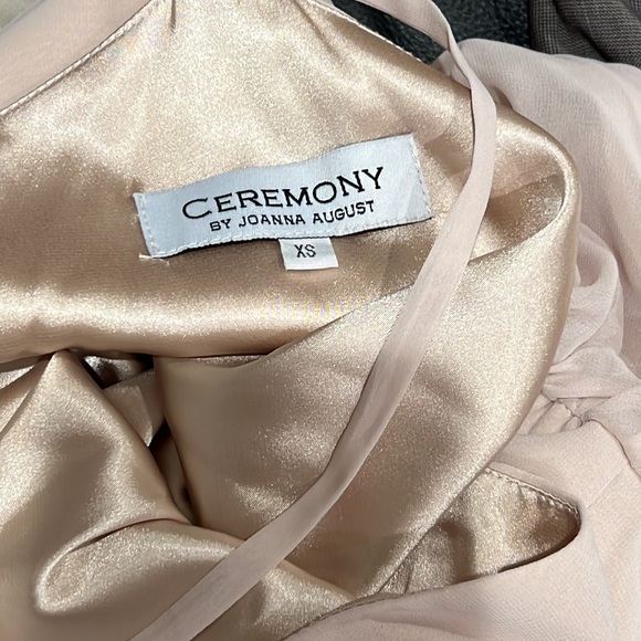 Ceremony by Joanna August Chiffon Satin Champagne Dusty Pink XS Dress - Picture 5 of 9
